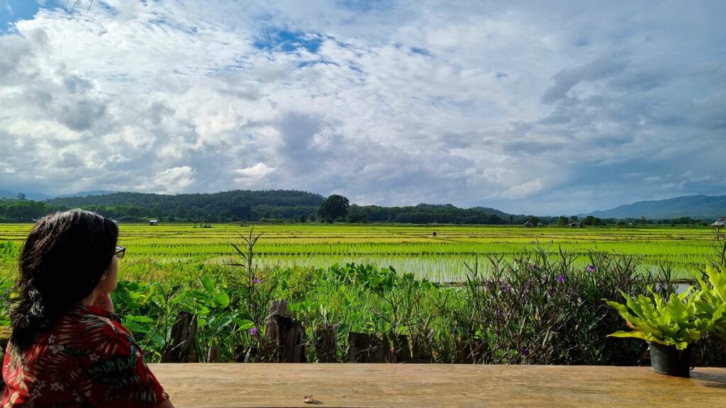 Sitting at Mana Cafe close to rice paddies, Mae Hong Son